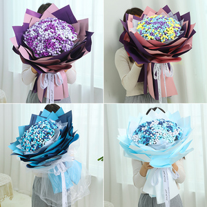 折花材料满天星