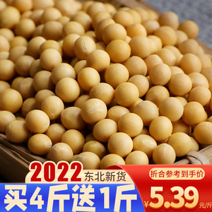 东北黄豆打豆浆专用发豆芽颗粒饱满农家自种非转基因新鲜粗粮500g