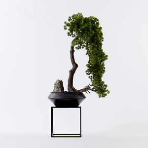 新中式仿真迎客松落地盆景摆件客厅酒店走廊别墅样板间绿植摆设