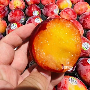 智利进口珠宝李2斤新鲜布林李子酸甜多汁恐龙蛋孕妇水果发顺丰
