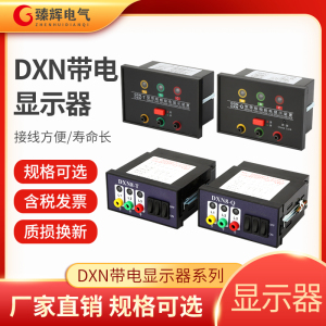 DXN-QT户内高压10kv带电显示器系列dxn8提示闭锁自检核相型传感器