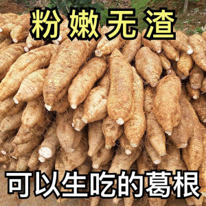 无渣的葛根