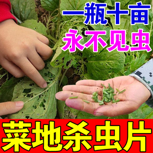 菜虫杀虫剂打辣椒虫的药蔬菜玉米地除虫专用药园艺植物防驱虫片