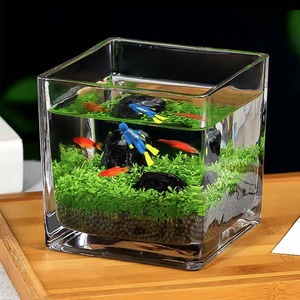 生态玻璃鱼缸小型乌龟缸水草种植物自动喂食器神器投喂鱼食圈迷你
