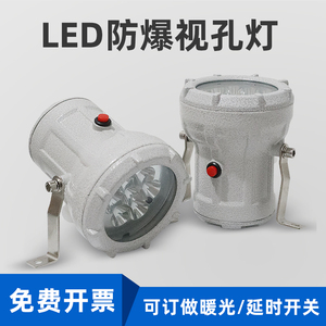 沈防LED防爆视孔灯反应釜视镜灯BSD探照射灯12v24V36V化工厂车间