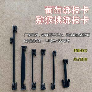 葡萄绑枝卡扣猕猴桃绑枝卡无花果卡子挂钩绑蔓树苗枝条塑料扣