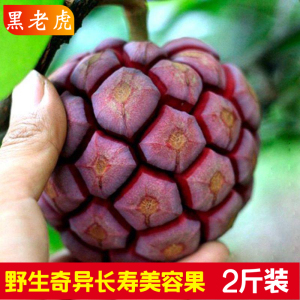 黑老虎水果新鲜布福娜野生大血藤果恶魔果实稀有古怪罕见当季水果