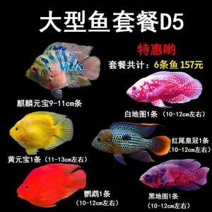 地图鱼.品牌,价格 - 阿里巴巴