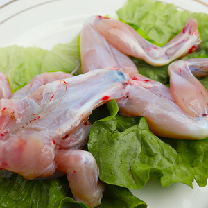 牛蛙 鲜活现宰 泡椒田鸡美国蛙 冷鲜食用真空散装 重庆火锅食1只