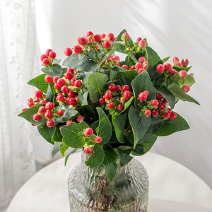 红豆花束鲜花包邮