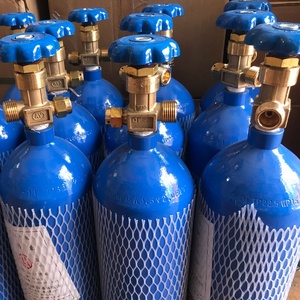 工业氧气罐钢瓶2L4升国标瓶8L10家用15L便携式鱼运输小型用焊接高