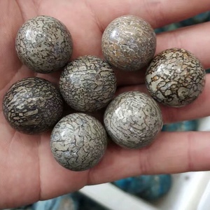 天然恐龙骨化石小球dly多宝手串古生物骨骼化石球手链2.0-2.3cm