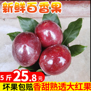 【单果保鲜】紫皮百香果新鲜包邮5斤当季孕妇水果3斤白香果酱鲜果