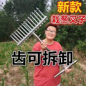 打折栽葱神器葱叉子扎眼器栽葱叉子葱插农用栽苗器栽葱工具