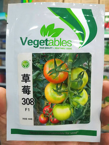 东北蔬菜种子西红柿番茄种子草莓柿子种子嘎啦果柿子大棚陆地用