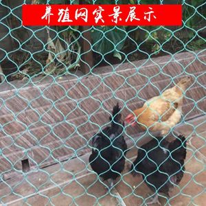 养鸡网围网养殖网山鸡网防鸟网拦鸡鸭子防护网养鸡塑料网野外捕鱼
