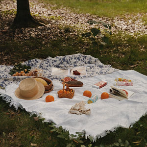 美物郊游春游垫子野餐垫防潮垫加厚ins风户外便携防水网红道具