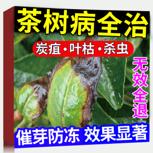 茶叶专用农药杀菌剂有机叶面肥料黑点炭疽叶枯根腐增产抗病催芽素