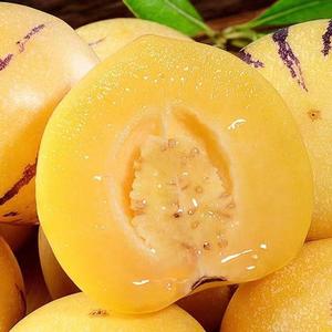 云南石林人参果 大果圆果特级人生果新鲜水果黄肉人生5斤大果