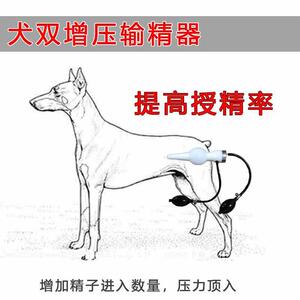 狗仿真输精器