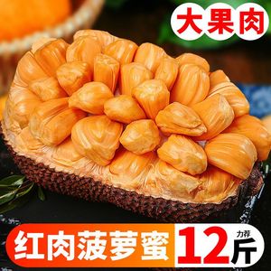 越南进口品种红肉菠萝蜜一整个单果新鲜水果红心波罗蜜泰国黄肉榴