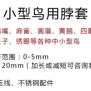 鸟用鹦脖绳脖套铃铛环鹉脚链/ 蜡画眉黄鹂grs嘴伯劳八哥/绳/锁
