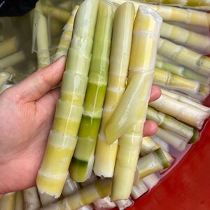 新鲜小竹笋苦笋