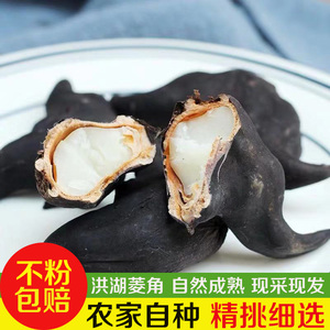 湖北特产洪湖新鲜老菱角棱角牛角粉糯香甜5斤水生水果现摘现发