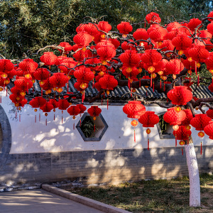 小灯笼挂饰树上新年装饰红色喜庆元旦春节小区植物过年氛围感布置