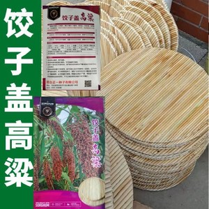 农家手工高粱杆饺子盖高粱种子红高粱种子可做饺子杂粮高粱种子