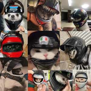 猫咪头盔宠物机车安全帽抖音同款狗狗专用迷你小盔帅气摩托车帽子