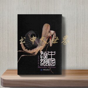 中国螳螂朱笑愚