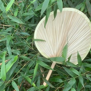 扇子 夏季家用芭蕉叶扇子夏天便携手摇济公扇老式大葵扇烧烤扇子