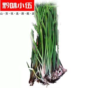 五香草香料 贵州山奈苗三奈新鲜随手香茴香菖蒲牛羊狗肉去腥香料