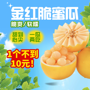 东方甄选金红脆蜜瓜4.5斤装 香甜时令当季新鲜水果 坏果包赔