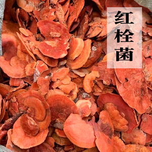 【云芝野生】云芝野生品牌,价格 - 阿里巴巴