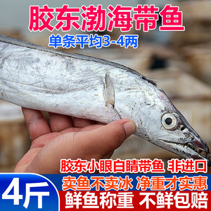 新鲜渤海大带鱼4斤黄海整条小眼油带鱼段海鲜水产山东海刀鱼