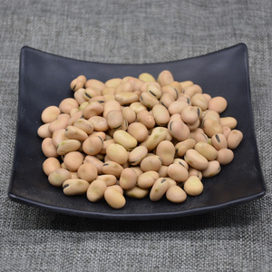 农家五谷杂粮生蚕豆自然晒干胡豆小颗粒罗汉豆豌豆500g