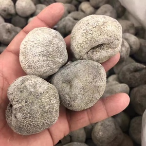 乌圆海参-淘宝拼多多热销乌圆海参货源拿货 - 阿里巴巴货源