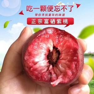 桃子如皋紫桃血桃5斤桃子孕妇水果新鲜现摘时令油桃非黑桃皇后