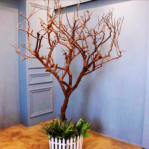 干树枝树装饰天然造型