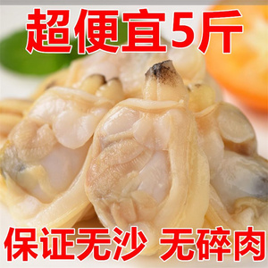 花甲肉蚬子肉蛤蜊干花蛤肉新鲜海鲜水产鲜活冰鲜海产品蛤蜊肉