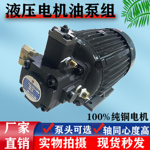 液压油泵电机组内插式0.75KW+vp20 1.5kw 液压泵总成内轴液压电机