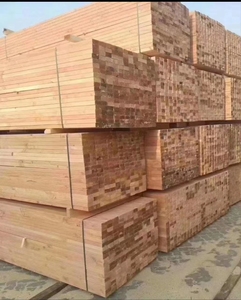 建筑木方定制木材白松花跳板木块实木方柱打桩床板板材支模工程