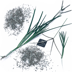 牛筋草种子夏季杂草种子老牛拽千斤草种子护坡绿化种子中草药种子