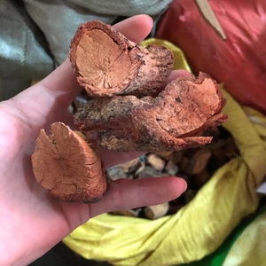 880人付款淘宝冷背中药材,酸藤,酸藤果根,咸酸根