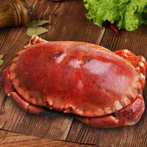 面包蟹鲜活特大新鲜
