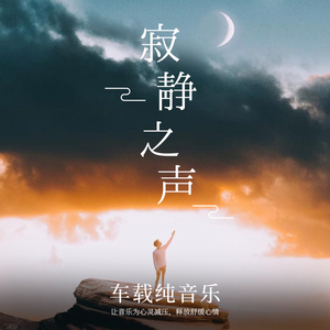 纯音乐优盘