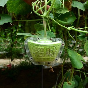 葫芦生长定型模具塑料变形模型范制葫芦套模模具葫芦水果模子