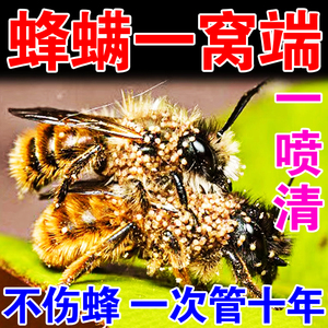 蜂螨一喷净蜜蜂杀螨药【不伤蜂】意蜂治螨药清除蜂箱螨虫药膏神器